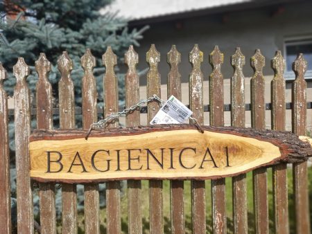 Wakacyjne zajęcia w Bagienicy – z misją!